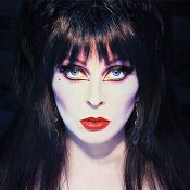 Elvira Mistress of the Dark Elvira Book