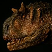 Carnotaurus Female  Bust