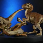 Crash McCreerys Baby Raptors Jurassic Park Diorama